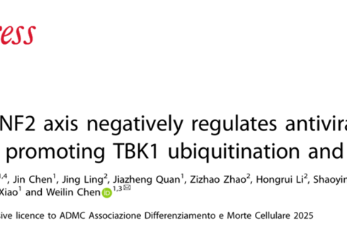 陈玮琳教授团队在 Cell Death & Differentiation发表USP43/RNF2轴调控抗病毒固有免疫研究成果