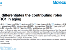 医学部刘宝华教授团队在Molecular Cell发表YTHDF1调控衰老新机制研究成果