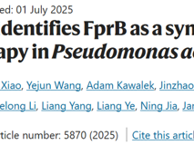 医学部刘雪副教授在Nature Communications发表镓抗菌协同靶点研究成果