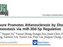 医学部黄素丽副教授团队在自然指数期刊Environmental Science & Technology发文解析重金属镉暴露致缺血性脑卒中的新机制