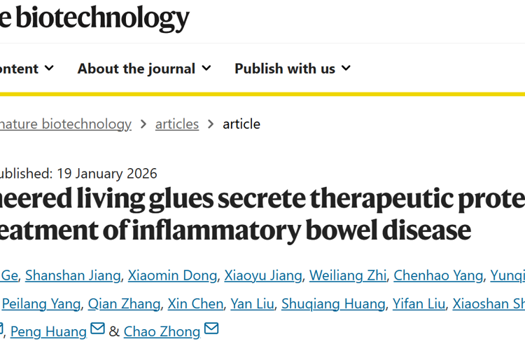 医学部黄鹏教授团队在Nature Biotechnology发表智能活胶水自主感知与精准治疗炎症性肠病研究成果