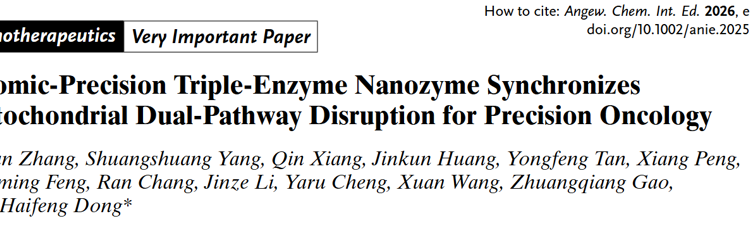 医学部董海峰教授团队在Angew. Chem. Int. Ed.发表原子级精度纳米酶同步破坏线粒体双通路用于精准抗癌研究成果
